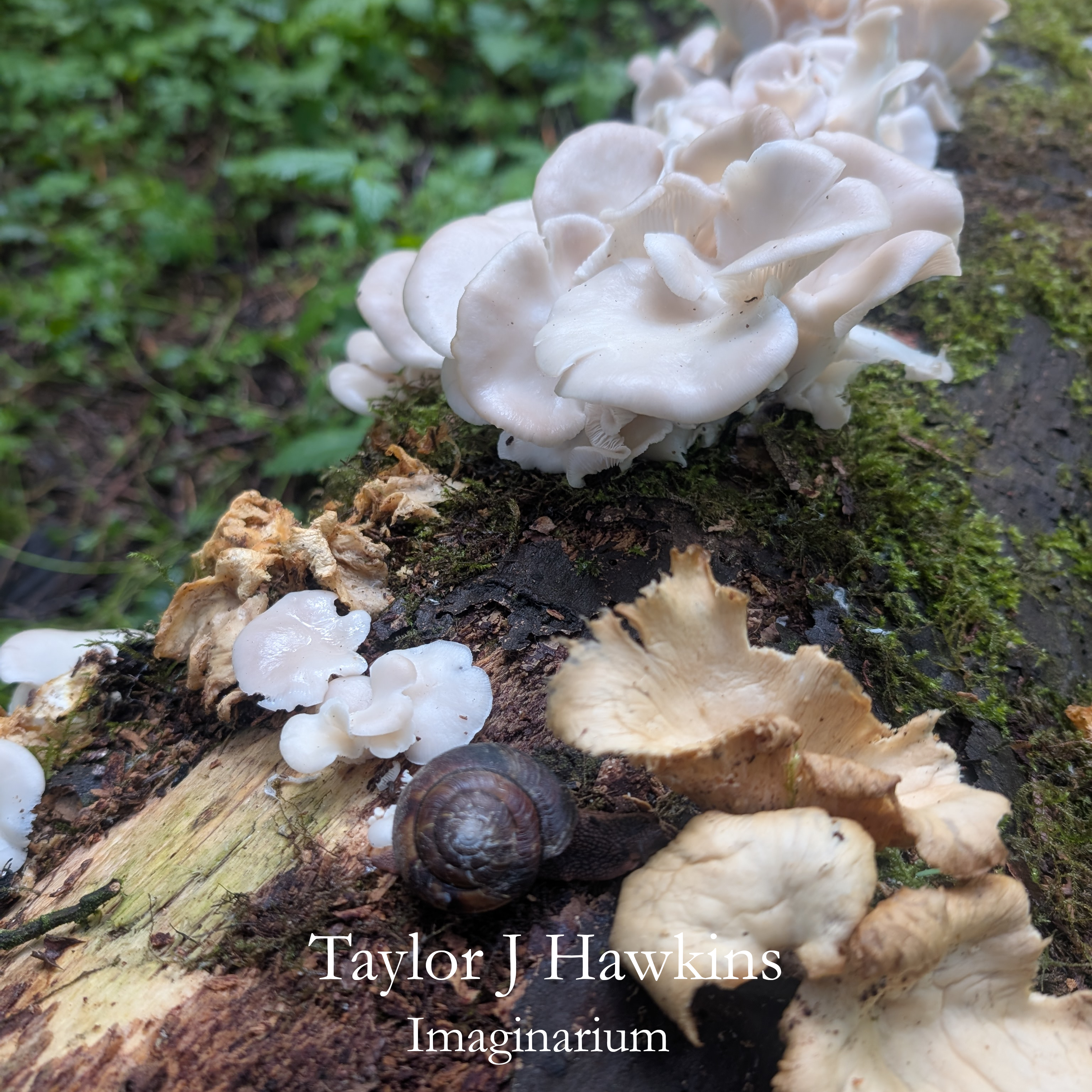 Post image cover