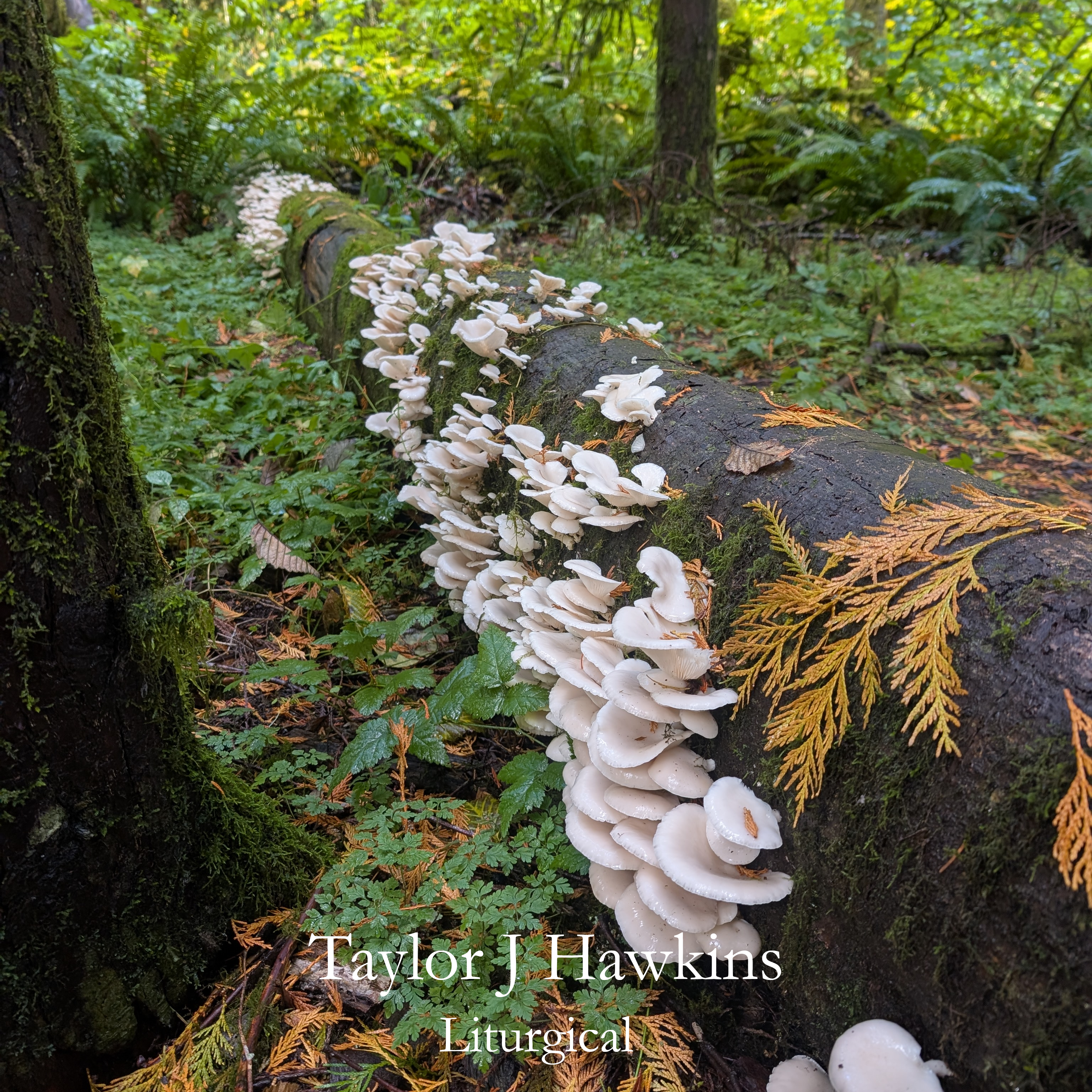 Post image cover